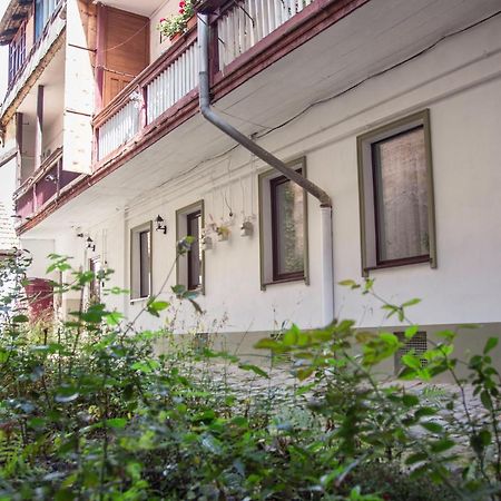 Seek And Hide - Csilla'S Tiny Hideaway Brasov Exterior photo